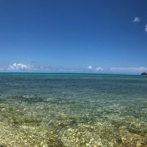 Meet your Posher, Eden